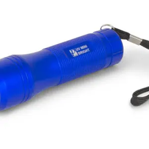 Mini Bright UV400 Leak Tracer Torch & Glasses
